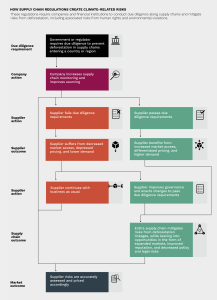 A flowchart describing how supply chain regulations can create climate-related risks