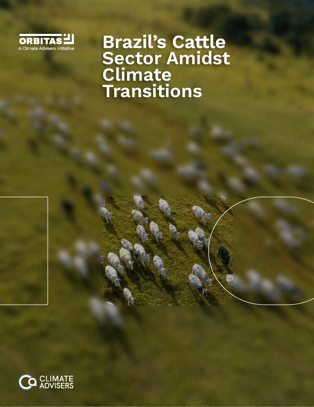 The cover of a climate report titled "Brazil's Cattle Sector Amidsst Climate Transitions."