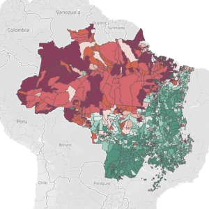 Brazil illegal deforestation Orbitas