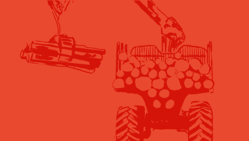 A herd of cattle rush toward the camera