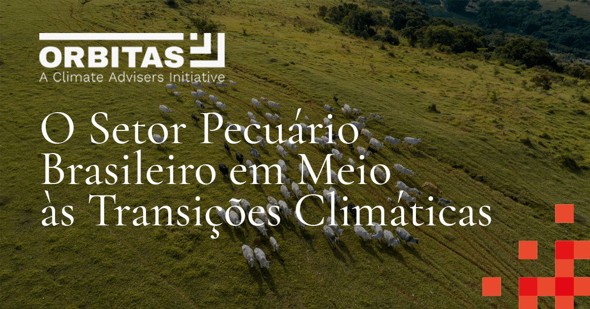 A herd of cattle rush toward the camera