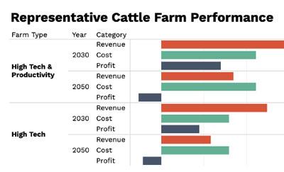 A herd of cattle rush toward the camera