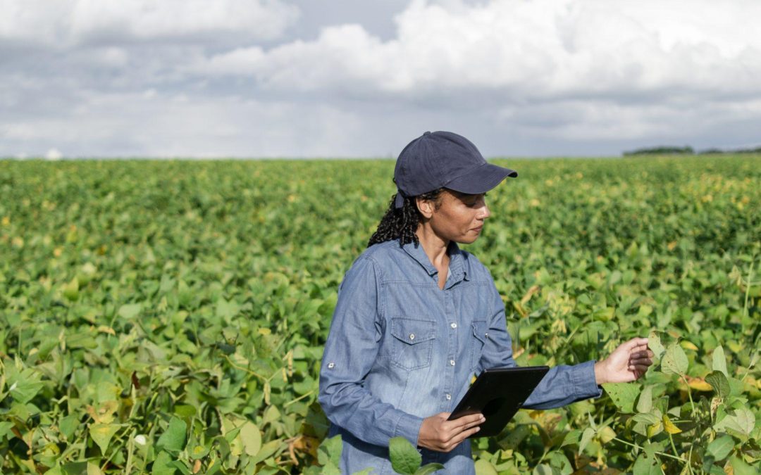 Brazil’s Climate Trajectory: What are the financial impacts for the cattle and soy sectors?