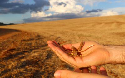 Investor Perspectives On Closing Brazil’s Climate Finance Gap