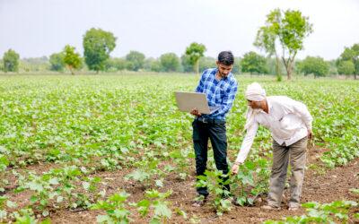 How Tech Climate Transitions are Reprogramming the Financial Outlook for the Land Economy