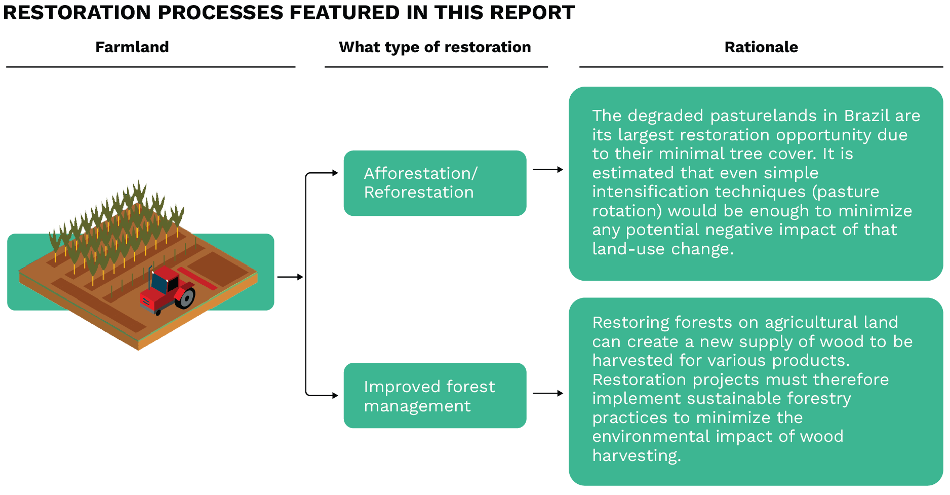 Diagram showing approaches to reforestation