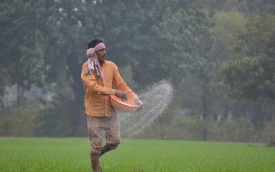 Climate Transitions Are Planting the Seeds of Change for Global Fertilizer Use