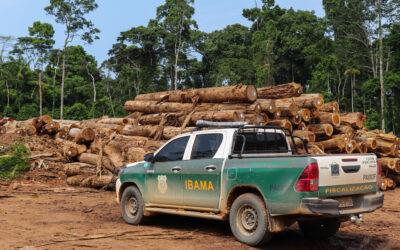 Reputation Risks: How Climate Pressure is Reshaping the Forest, Land and Agriculture Sector