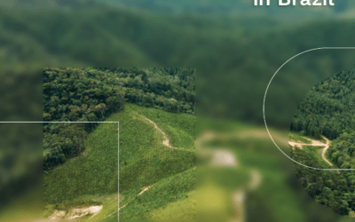Room to Grow:  The Economic Case for Forest Restoration  in Brazil
