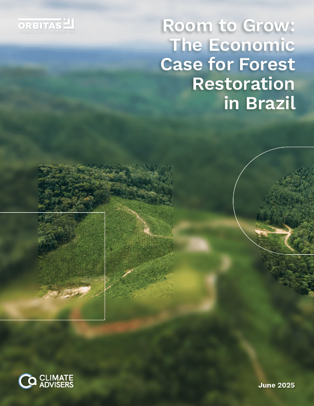 Cover of Orbitas Brazil Reforestation report