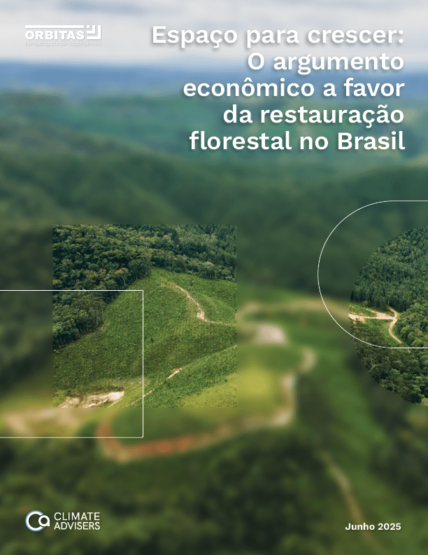Cover of Orbitas report on Brazil reforestation