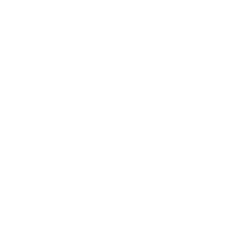 Shape of Brazil