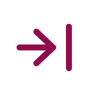 Icon for challenges