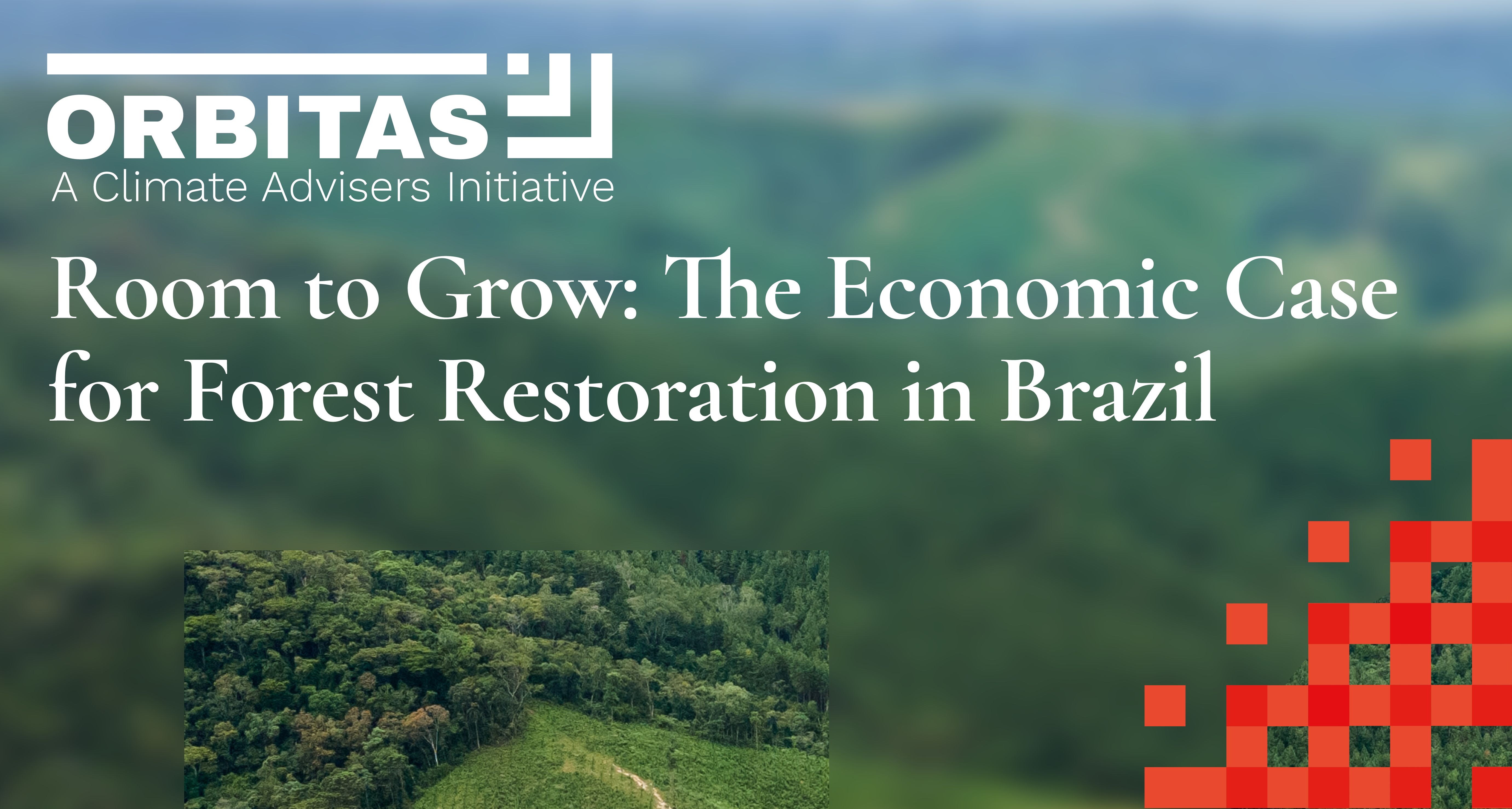 Brazil reforestation link image