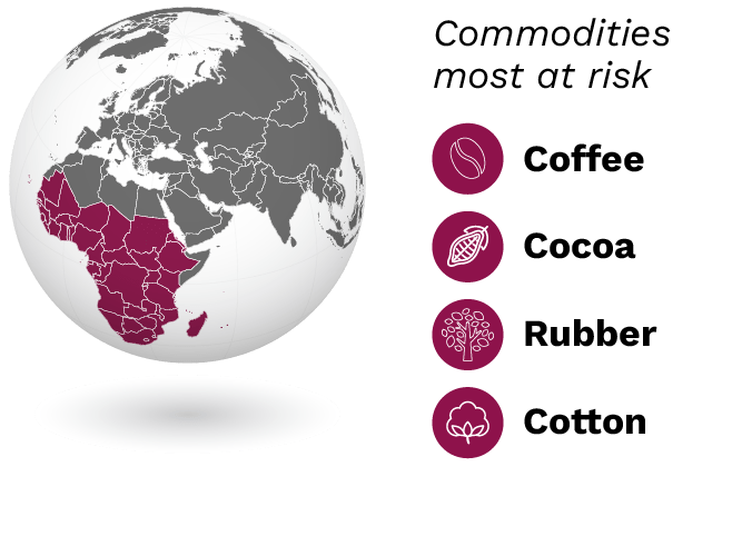 regional-commodities_Sub-Saharan Africa