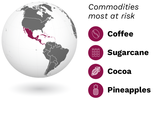 regional-commodities_central-america