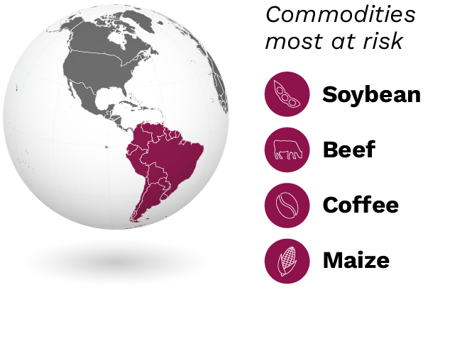 regional-commodities_south-america