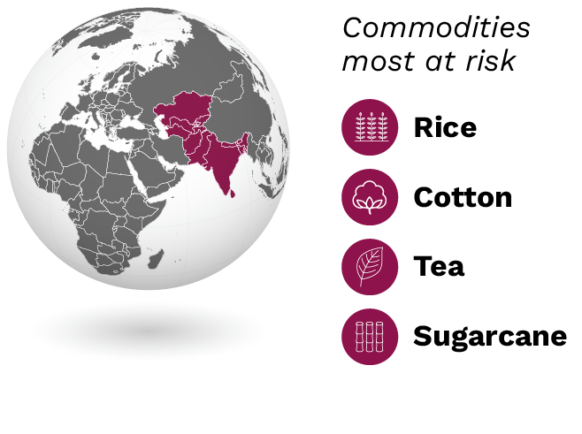 regional-commodities_south-asia