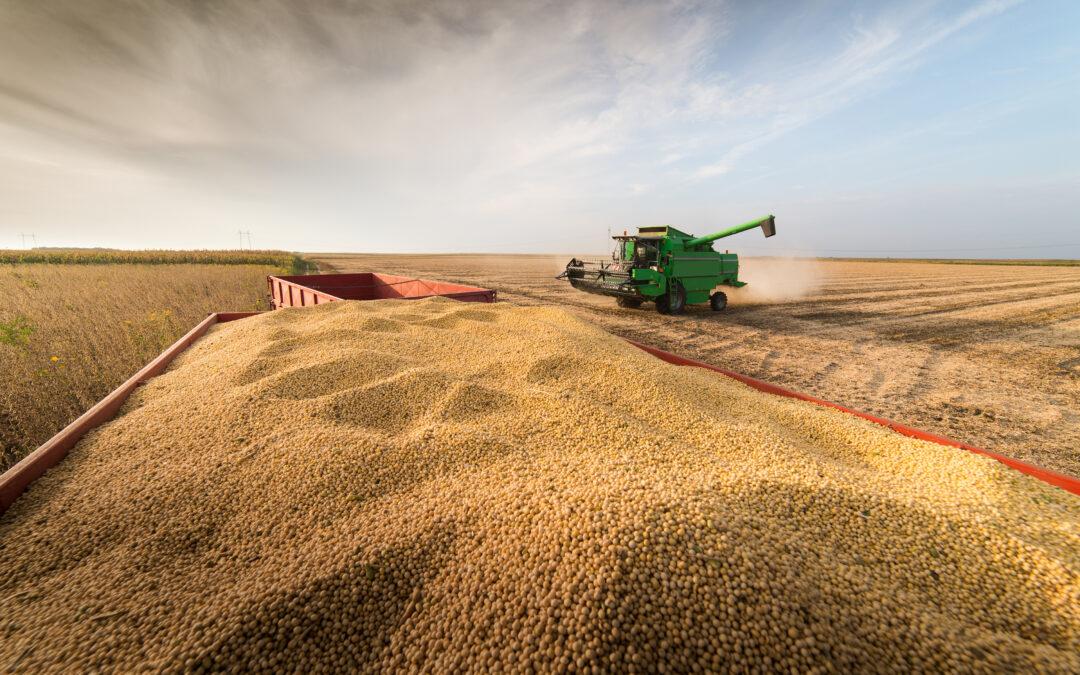 Why Ag Yield Increases May Finally Lead to Forest Restoration in Brazil